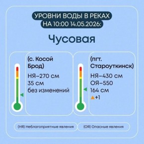 ������� ���� � ���� ���� �� ����� ��������� �� 17 �����������