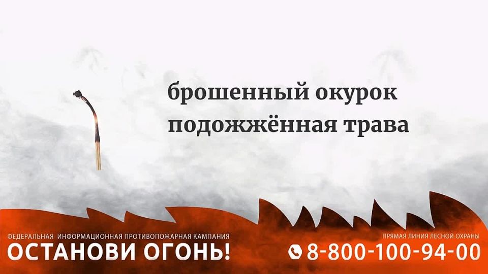 Причина 90% лесных пожаров – человек