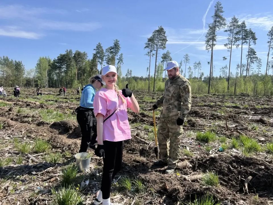 Сотрудники прокуратуры Свердловской области приняли участие в международной акции «Сад памяти» Сотрудники прокуратуры Свердловской области приняли участие в международной акции «Сад памяти»