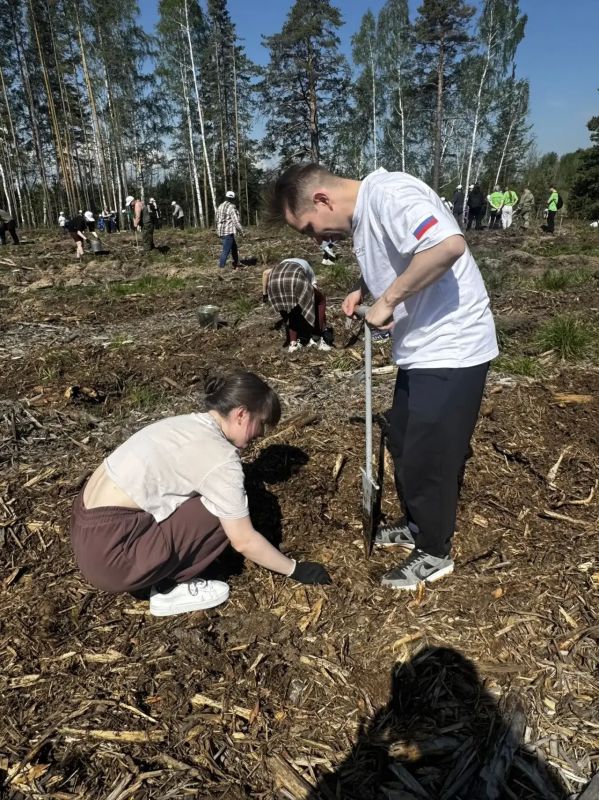 Сотрудники прокуратуры Свердловской области приняли участие в международной акции «Сад памяти» Сотрудники прокуратуры Свердловской области приняли участие в международной акции «Сад памяти»