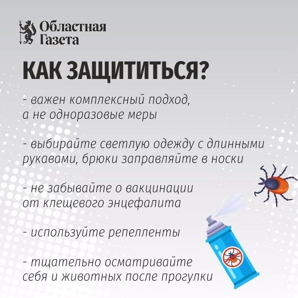 Бесплатная прививка от клещей снова доступна для свердловчан старше 60 лет Бесплатная прививка от клещей снова доступна для свердловчан старше 60 лет