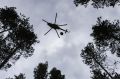До 1,1 тысячи гектаров вырос лесной пожар в Ивдельском лесничестве