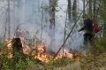Оперативно и точно: за сутки ликвидированы четыре лесных пожара