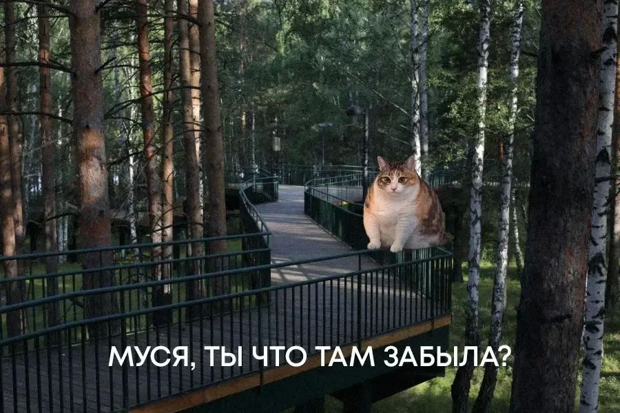 Муся, это ты?. Да, это та самая Муся! И она уже оценила объекты благоустройства по программе ФКГС Муся, это ты?. Да, это та самая Муся! И она уже оценила объекты благоустройства по программе ФКГС