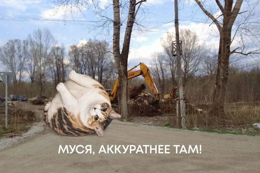 Муся, это ты?. Да, это та самая Муся! И она уже оценила объекты благоустройства по программе ФКГС Муся, это ты?. Да, это та самая Муся! И она уже оценила объекты благоустройства по программе ФКГС
