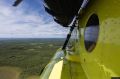 Локализован крупный пожар, действующий в Ивдельском лесничестве