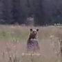 �� ����������, �������� � �������� ���������������, ����� ������� �����������