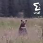 ������� ������� �������� �� ���������������