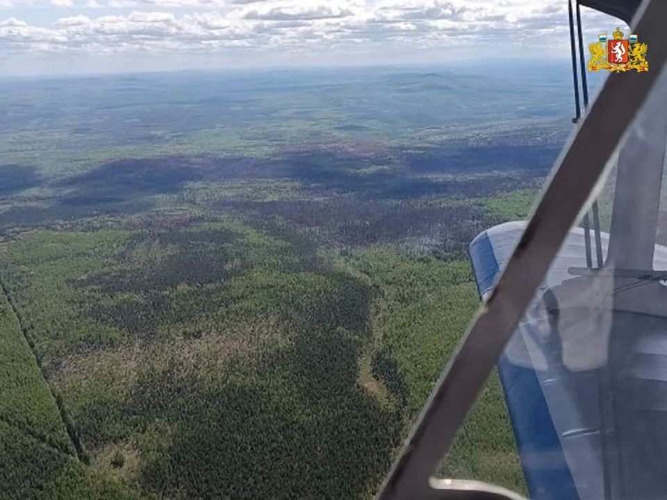 Ликвидировано крупное возгорание в Ивдельском лесничестве Ликвидировано крупное возгорание в Ивдельском лесничестве