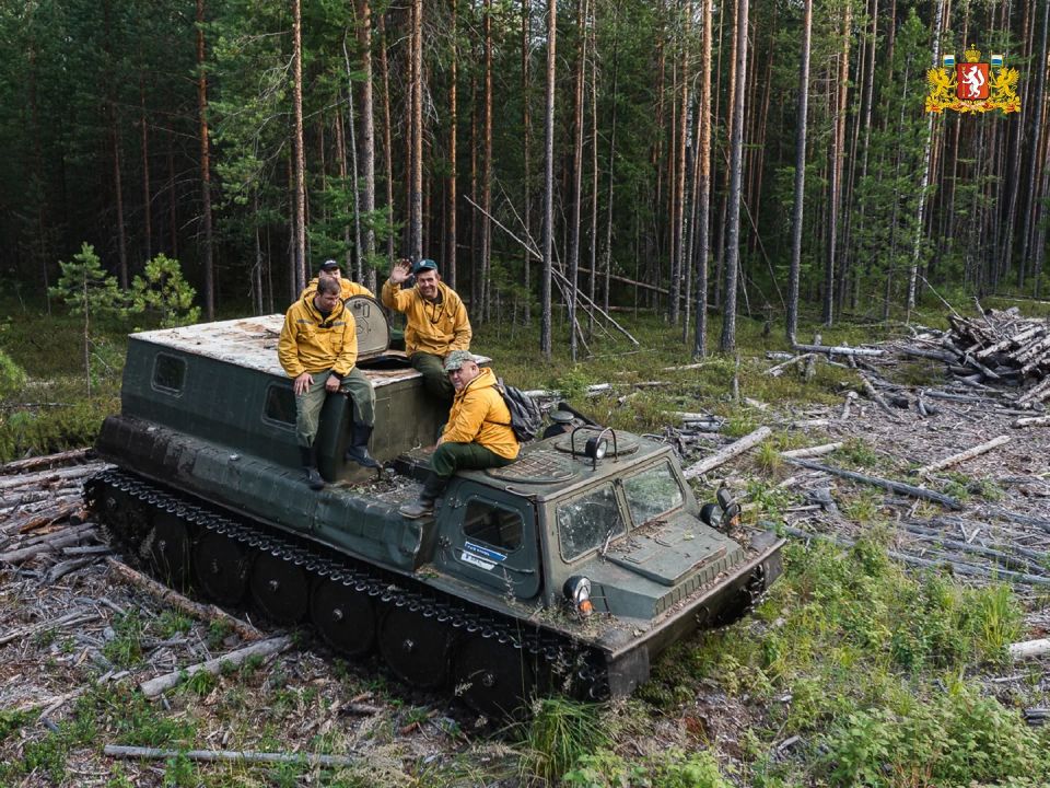 Ликвидировано крупное возгорание в Ивдельском лесничестве