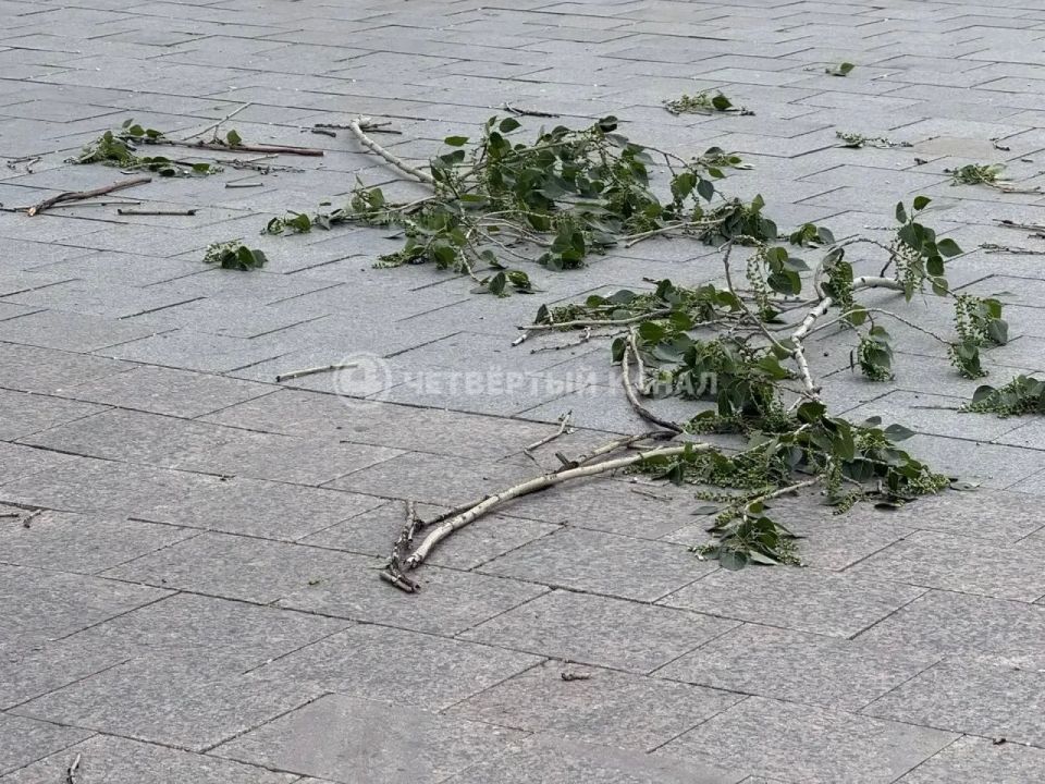 Никакого праздника: на Плотинке досрочно закончили отмечать последний жаркий день Никакого праздника: на Плотинке досрочно закончили отмечать последний жаркий день
