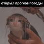 ����� ����, ����� �������������� � ��������