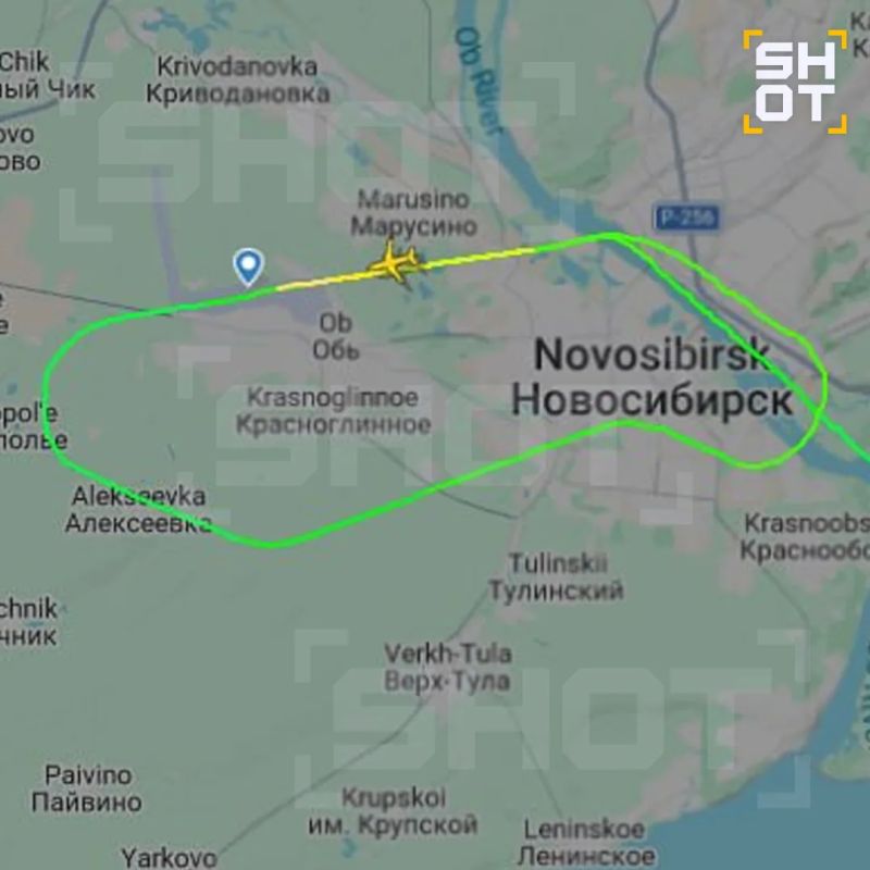 Собака задержала два самолёта в аэропорту Новосибирска