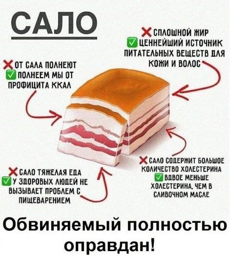 Эндокринологи признали сало полезнее многих суперфудов
