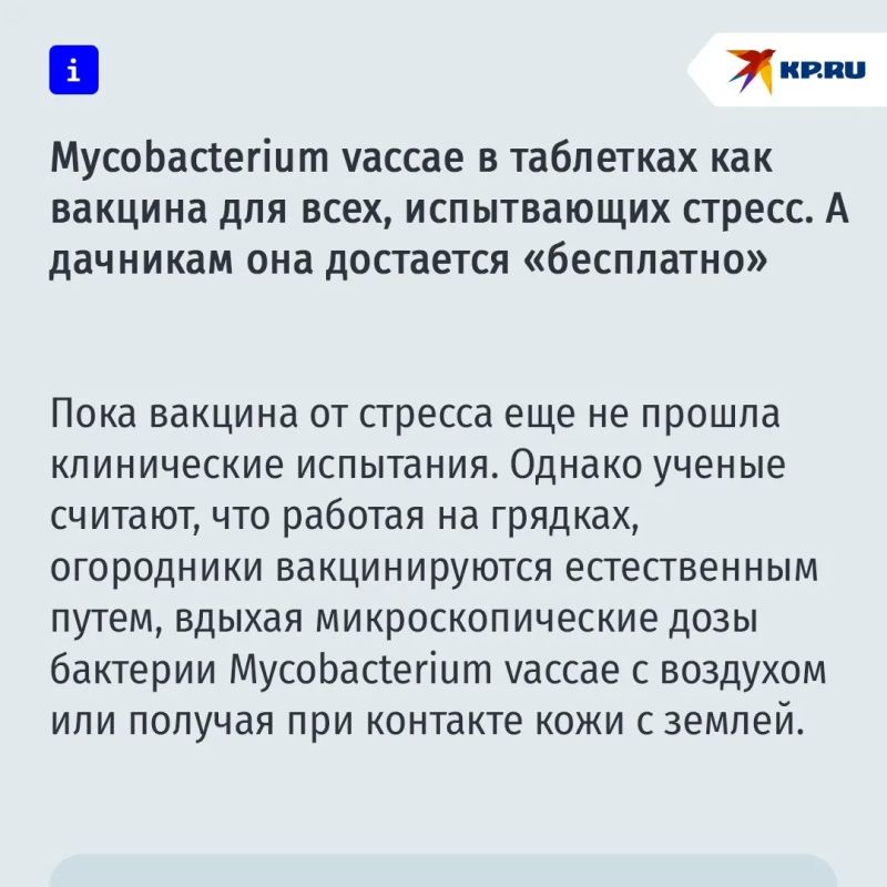 Почему работа на даче помогает снять стресс лучше психотерапевта Почему работа на даче помогает снять стресс лучше психотерапевта