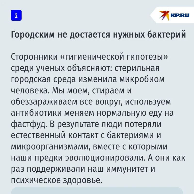 Почему работа на даче помогает снять стресс лучше психотерапевта Почему работа на даче помогает снять стресс лучше психотерапевта