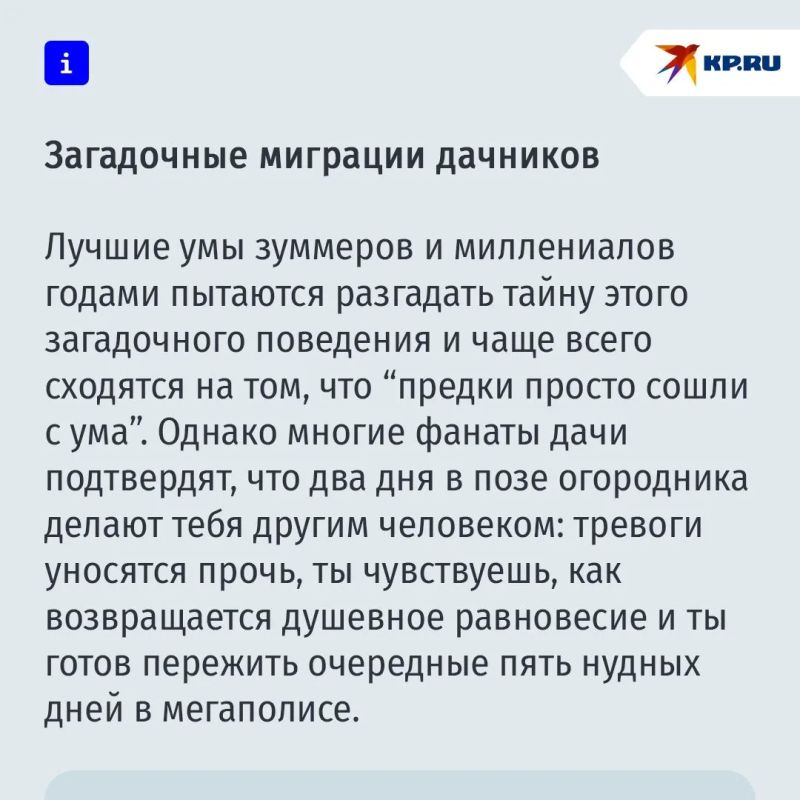 Почему работа на даче помогает снять стресс лучше психотерапевта Почему работа на даче помогает снять стресс лучше психотерапевта