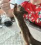� ������������� �������� �������� ���������, �������� ���� �� ��������� ������