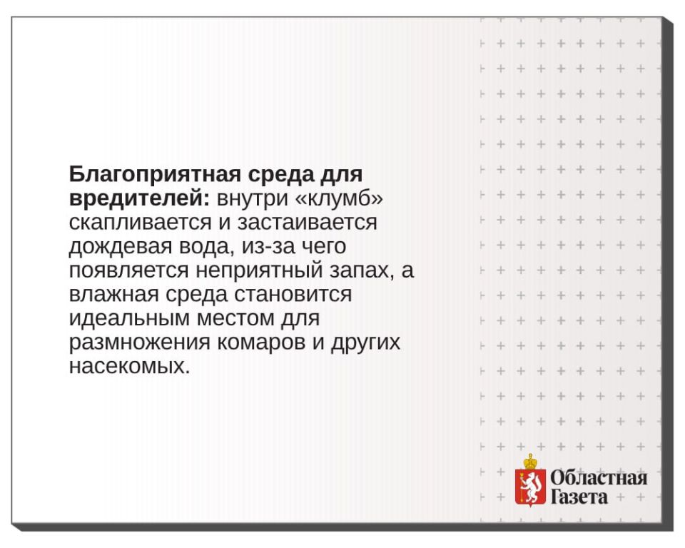 Срочно уберите это с грядок! Лебеди из шин убивают урожай и здоровье Срочно уберите это с грядок! Лебеди из шин убивают урожай и здоровье