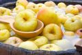 Моченые яблоки: 20 вкусных рецептов на любой вкус