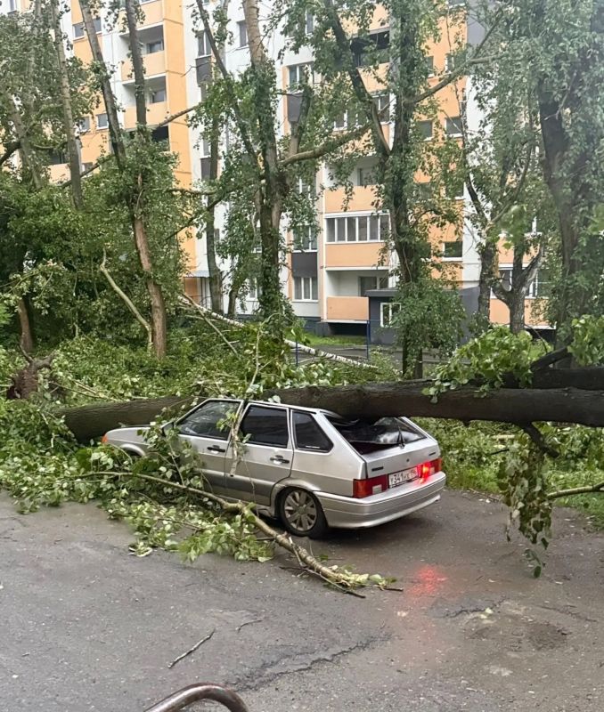 В Кушве (Свердловская область) введен режим повышенной готовности в связи с последствиями прошедшего урагана В Кушве (Свердловская область) введен режим повышенной готовности в связи с последствиями прошедшего урагана