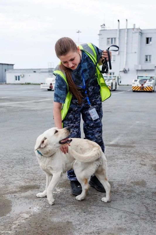 Кинологическая служба Кольцово отпраздновала 20-летие Кинологическая служба Кольцово отпраздновала 20-летие