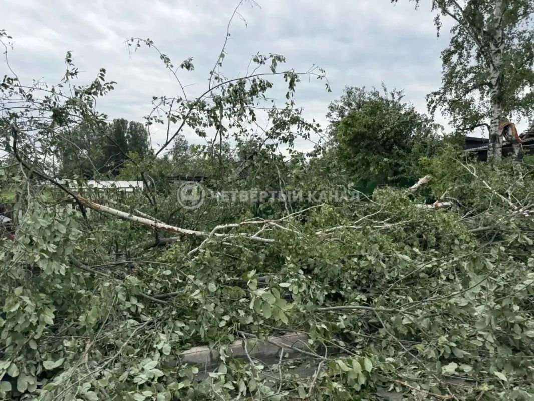 Непогода продолжает бушевать: на регион надвигаются сильные ливни и шквалистый ветер