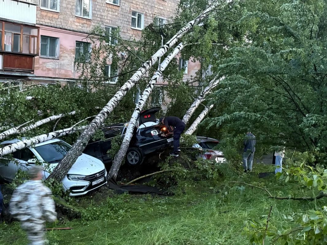 «Полный кошмар! И говорят, что смерч сегодня снова вернётся» «Полный кошмар! И говорят, что смерч сегодня снова вернётся»