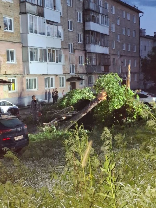 «Полный кошмар! И говорят, что смерч сегодня снова вернётся» «Полный кошмар! И говорят, что смерч сегодня снова вернётся»