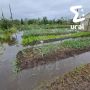 После смерча в Кушве началось подтопление
