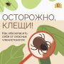 ���� � ����� �������� � ���������� ������, ������� �� ����, ������� � ���