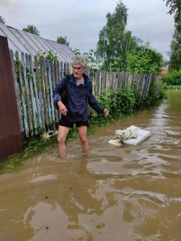 В затопленном Нижнем Тагиле Свердловской области продолжают эвакуировать людей и досрочно закрылись смены в трех детских лагерях В затопленном Нижнем Тагиле Свердловской области продолжают эвакуировать людей и досрочно закрылись смены в трех детских лагерях