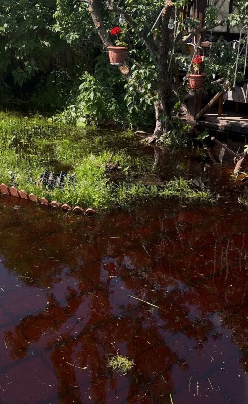 На ВИЗе под воду ушли восемь садовых товариществ На ВИЗе под воду ушли восемь садовых товариществ