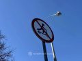 Электросамокаты на тротуарах предлагают замедлить до скорости пешехода