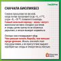 Ползучие агрессоры: слизни, в том числе и испанские, заполонили сады, поедая все подряд