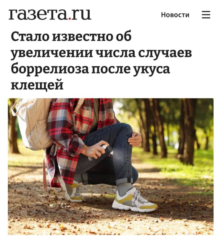 «Стало известно об увеличении числа случаев боррелиоза после укуса клещей»: Сразу в нескольких регионах России за год выросла доля зараженных боррелиозом из-за клещей