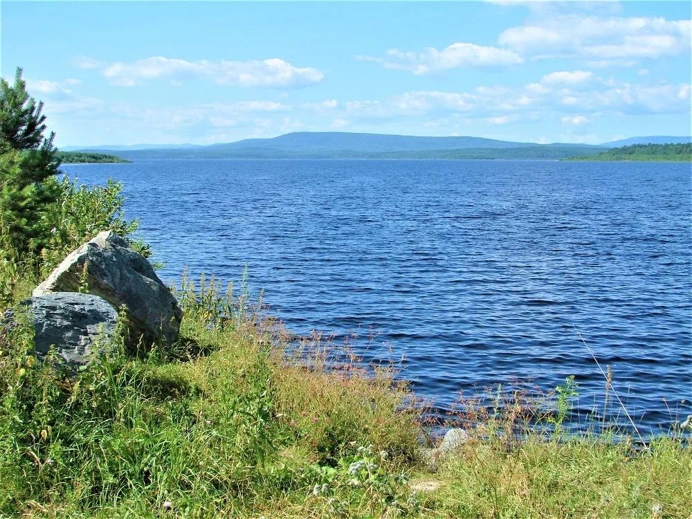 Купаться в Леневском водохранилище разрешил Роспотребнадзор