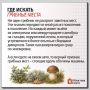 В лесах Свердловской области начался грибной сезон