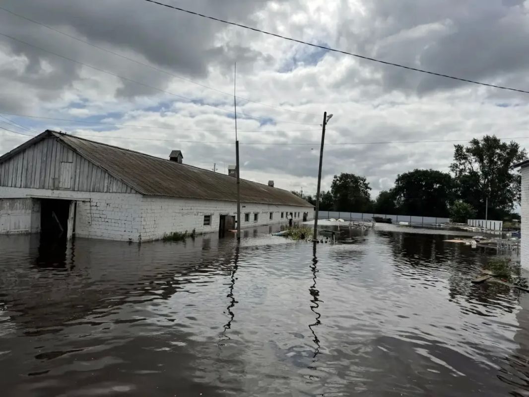 Паводковая ситуация в Ирбите сложная Вода продолжает заходить в населённые пункты. В ПВР эвакуированы жители поселка Зайково. Вывозят животных из помещений местного сельскохозяйственного предприятия Паводковая ситуация в Ирбите сложная Вода продолжает заходить в населённые пункты. В ПВР эвакуированы жители поселка Зайково. Вывозят животных из помещений местного сельскохозяйственного предприятия