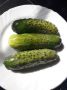 Удивительные «пьяные» огурчики: яркая полоска вкуса на вашем столе