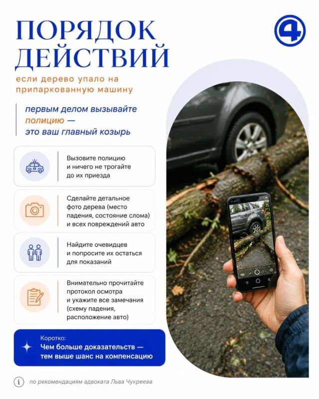 Дерево упало на машину: не спешите платить сами Дерево упало на машину: не спешите платить сами