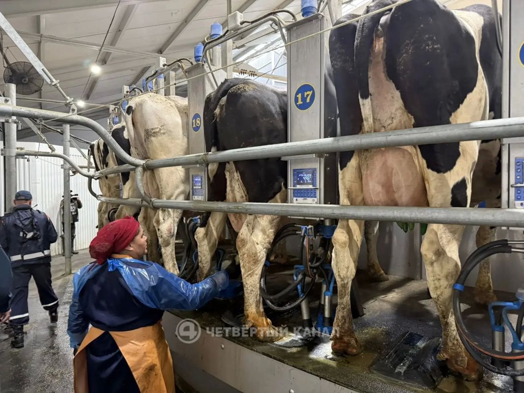 "Из-за стресса продуктивность снизилась": хозяйства Ирбитского района возвращаются к работе после паводка - что будет с местной молочкой? "Из-за стресса продуктивность снизилась": хозяйства Ирбитского района возвращаются к работе после паводка - что будет с местной молочкой?