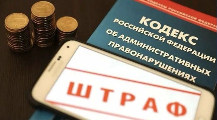 В Красноуральске прокуратура выявила многочисленные нарушения в деятельности приюта для животных