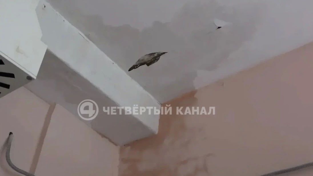 Из-за потопа салютогенные родовые в перинатальном центре Каменска-Уральского появятся раньше Из-за потопа салютогенные родовые в перинатальном центре Каменска-Уральского появятся раньше