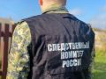Следственным отделом по городу Заречный СУ СК России по Свердловской области организована проверка сообщения о гибели мужчины после падения на него дерева