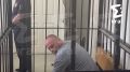 ��������, ������� �������� ������� � ��������������, �� ��� ������ ����� � ����