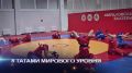 Число спортивных объектов мирового уровня в Свердловской области увеличилось до 15