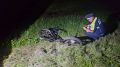 14-летний водитель мопеда погиб в ДТП в Свердловской области