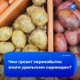 Дождливое лето губит урожай картофеля и зерновых в Свердловской области
