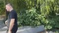 ЭКСЛЮЗИВ Стрелял в 11-летнего мальчика, а корреспонденту заявил, что просто гуляет рядом: охранника арестовали до конца сентября